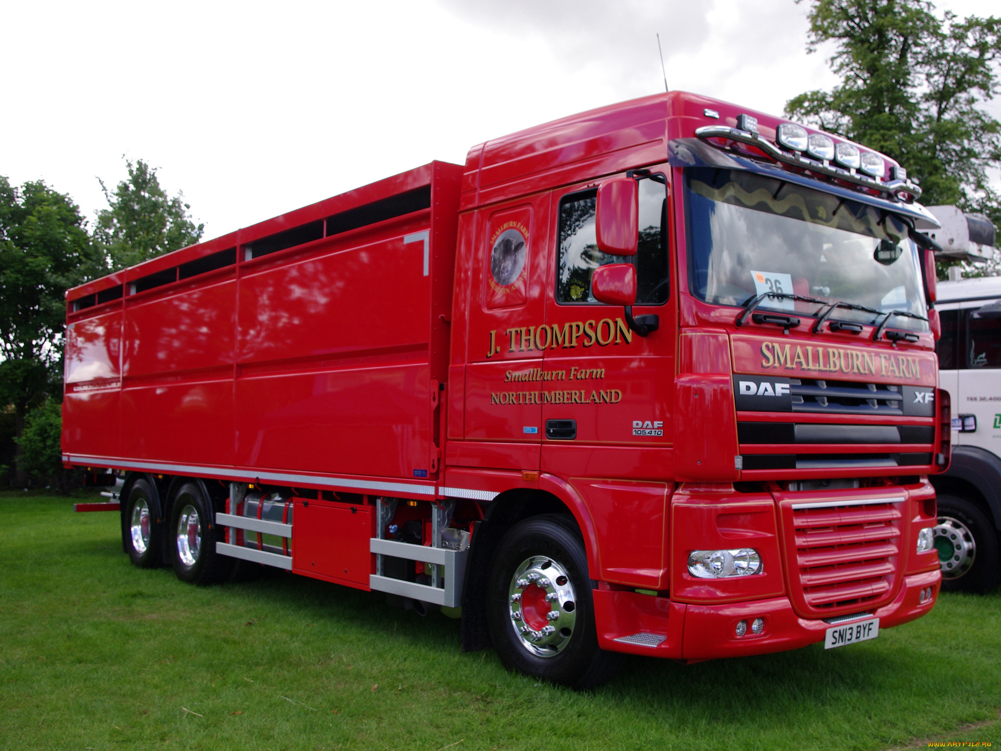 daf, , trucks, nv, , , , , 